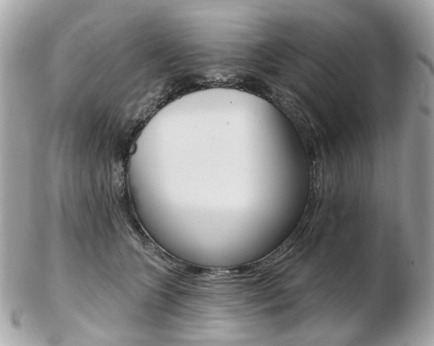 X0000103280563200808291048