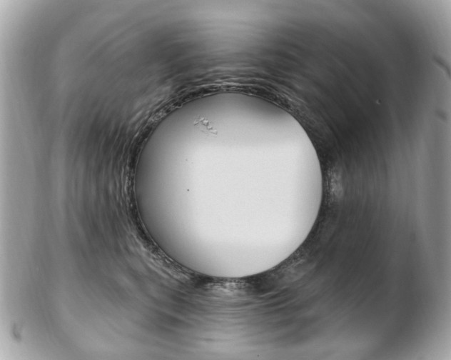 X0000103280567200808291048
