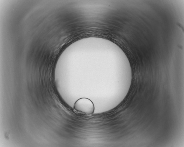 X0000103280568200808291048