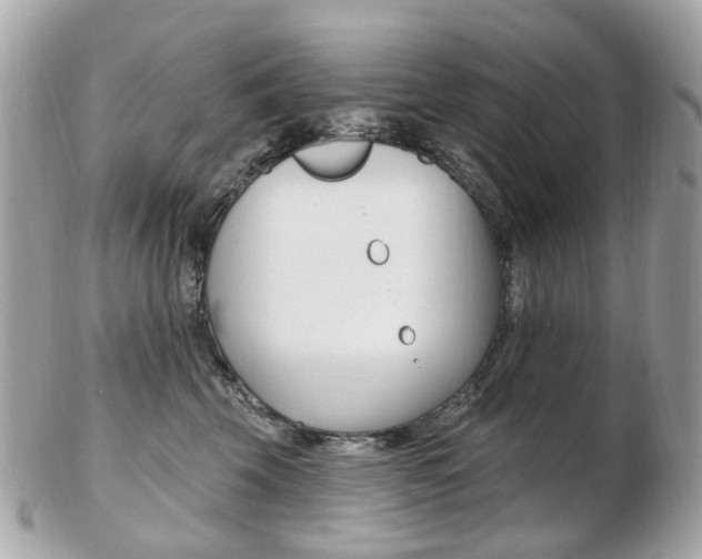 X0000103280569200808291048