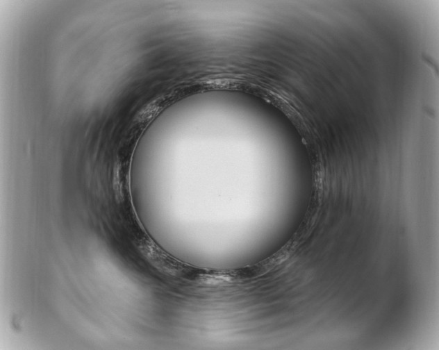 X0000103280572200808291048