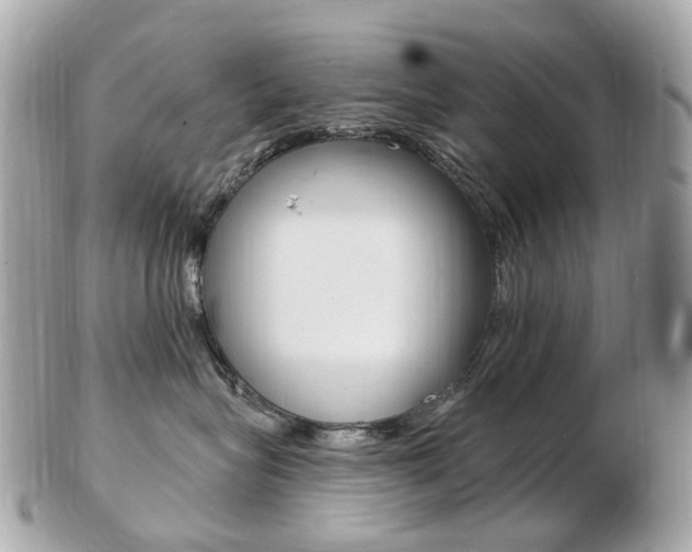 X0000103280575200808291048