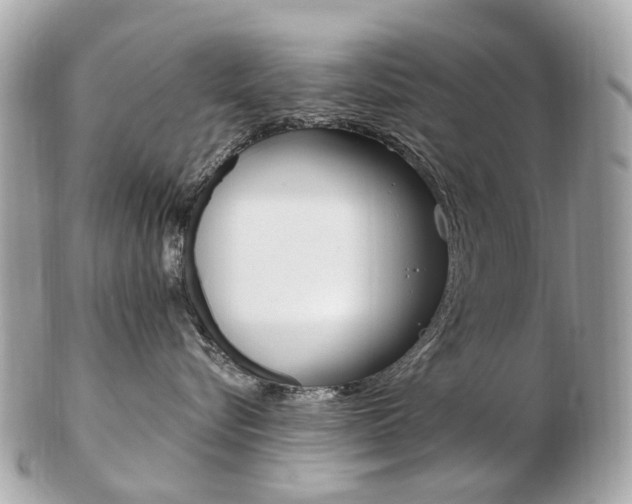 X0000103280576200808291048