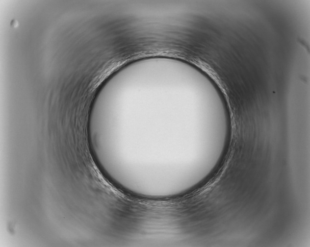 X0000103280577200808291048