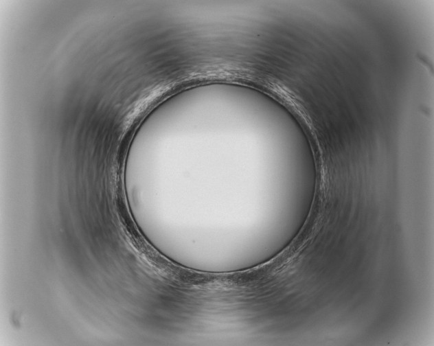 X0000103280578200808291048