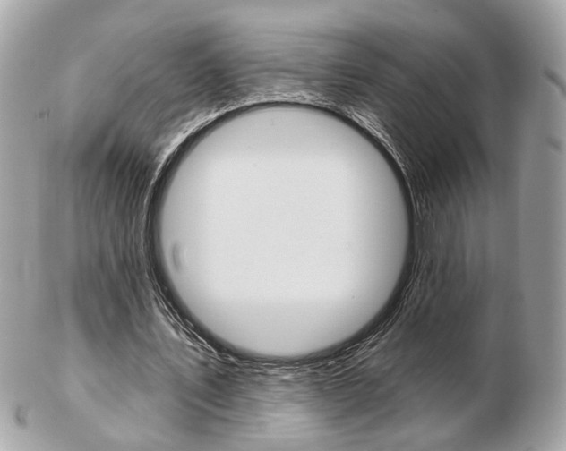 X0000103280579200808291048