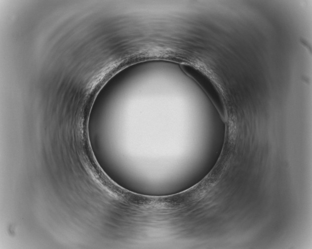 X0000103280581200808291048