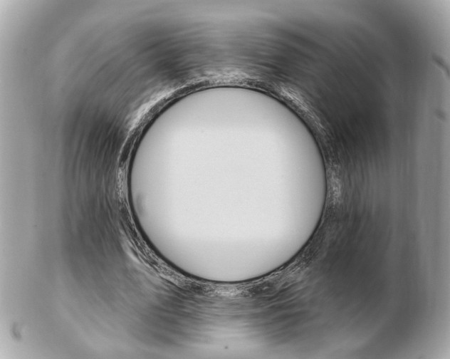 X0000103280583200808291048