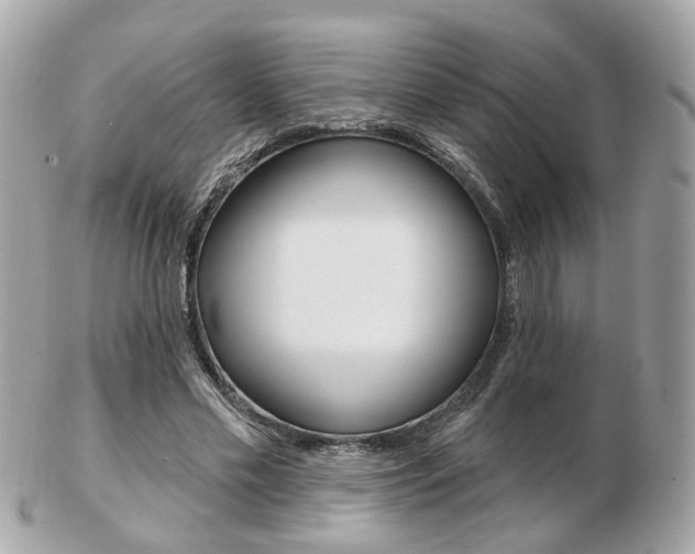 X0000103280589200808291048