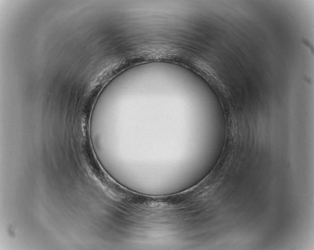 X0000103280590200808291048