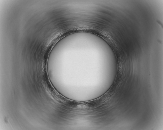 X0000103280591200808291048