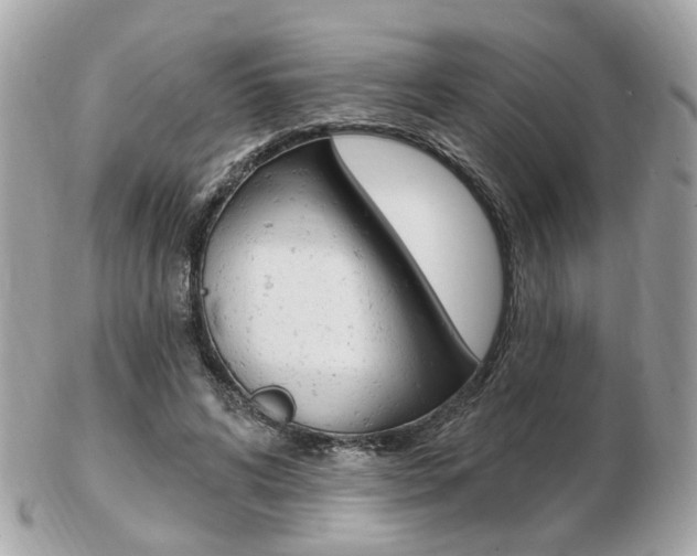 X0000103280592200808291047
