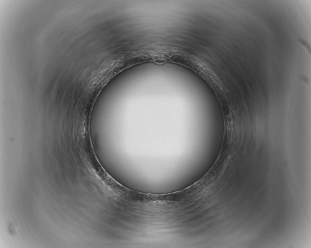 X0000103280593200808291047