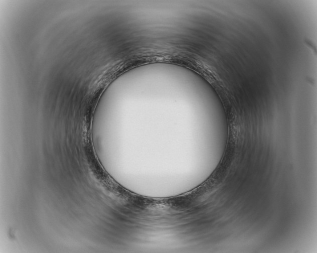 X0000103280594200808291047