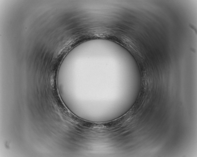 X0000103280595200808291047