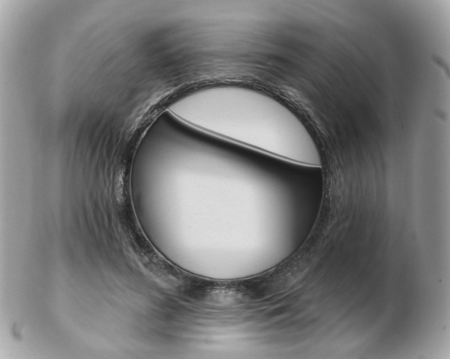 X0000103280596200808291047