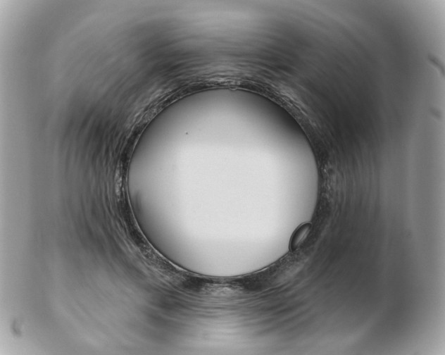 X0000103280597200808291047