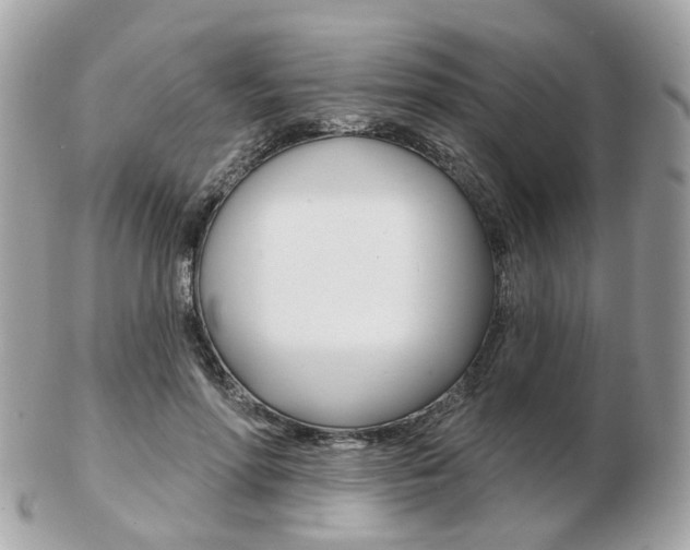 X0000103280598200808291047