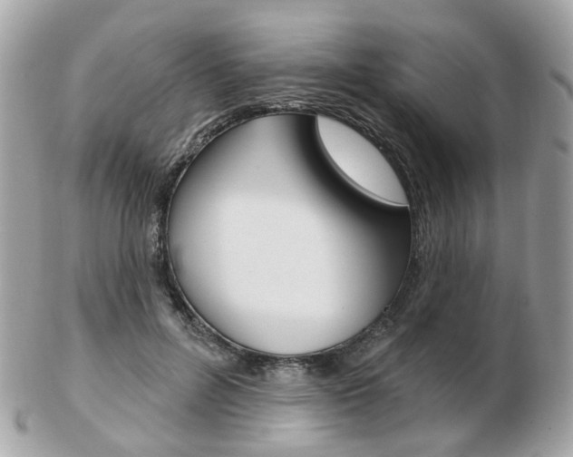 X0000103280600200808291047