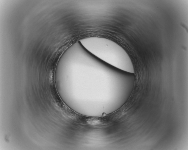X0000103280602200808291047