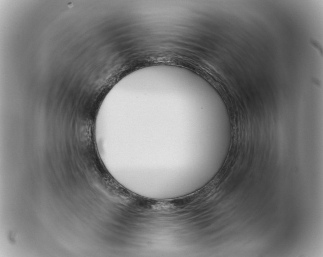 X0000103280603200808291047