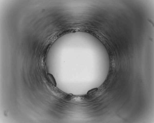 X0000103280611200808291047