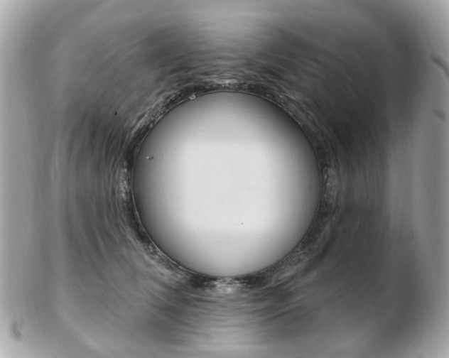 X0000103280612200808291047
