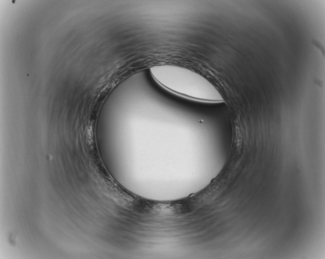 X0000103280613200808291047