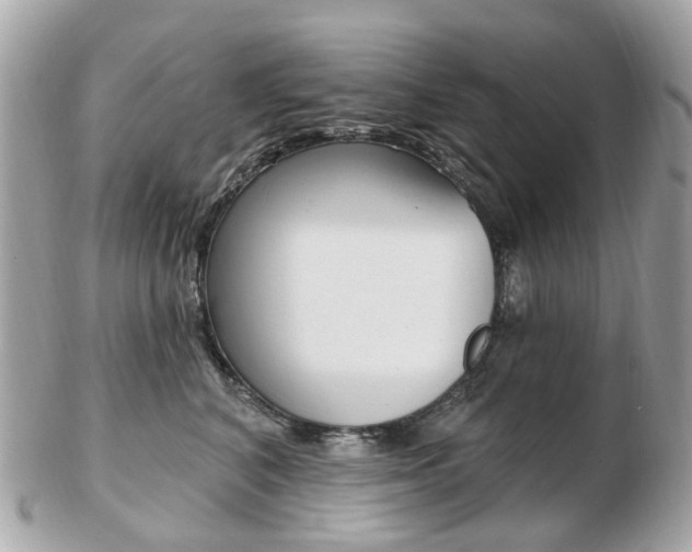 X0000103280616200808291047