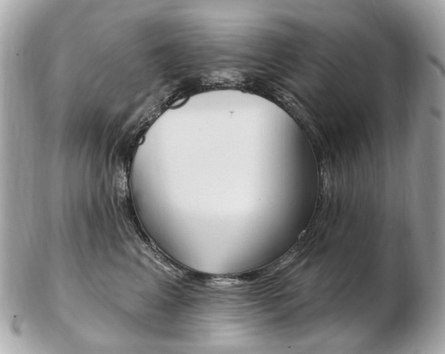 X0000103280617200808291047