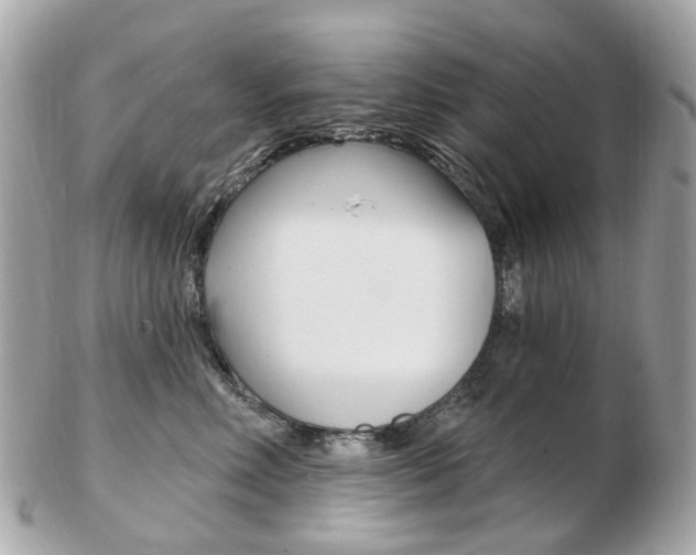 X0000103280618200808291047