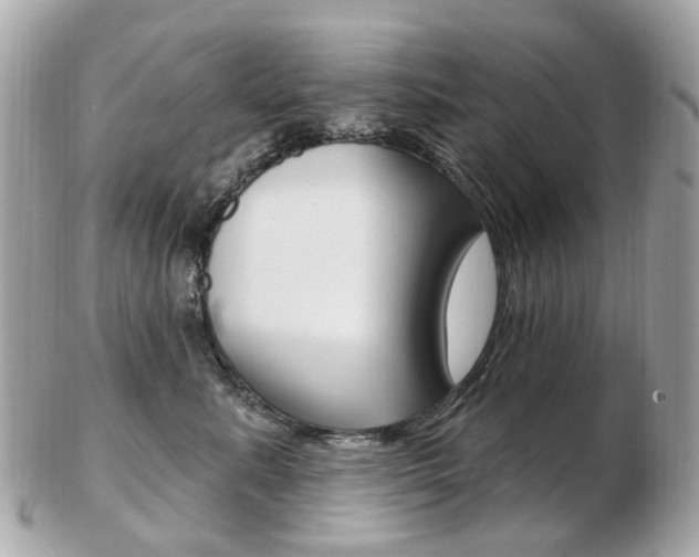 X0000103280619200808291047