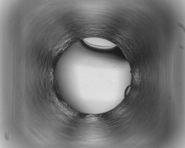 X0000103280620200808291047