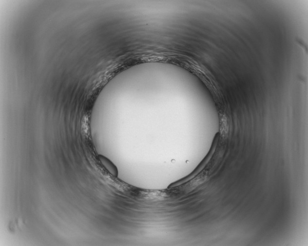 X0000103280621200808291047