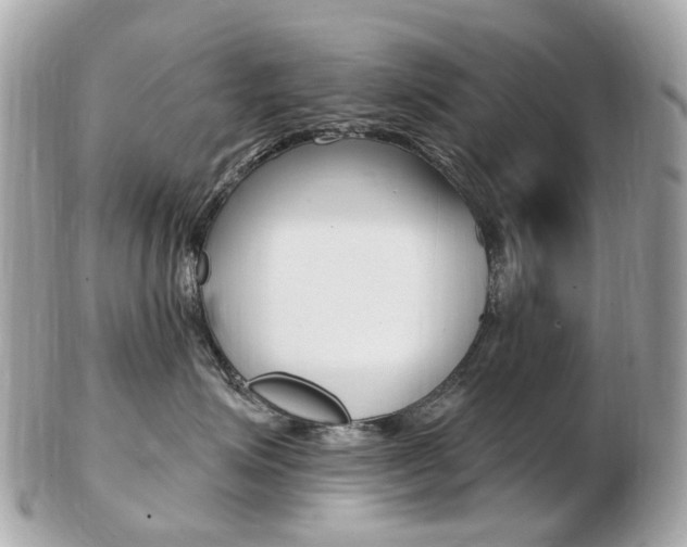 X0000103280623200808291047