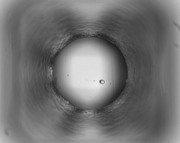 X0000103280624200808291047