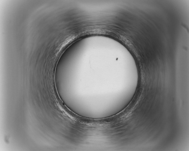 X0000103280625200808291046