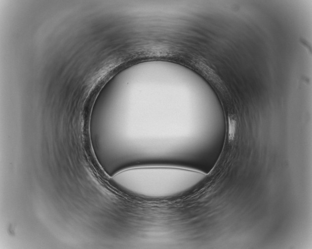 X0000103280627200808291046