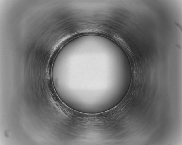 X0000103280628200808291046
