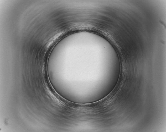 X0000103280629200808291046