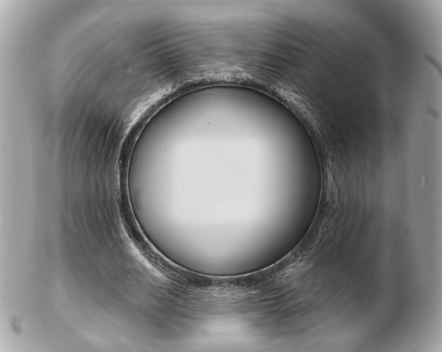 X0000103280630200808291046