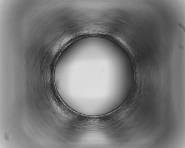 X0000103280631200808291046