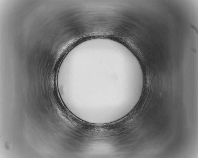X0000103280632200808291046