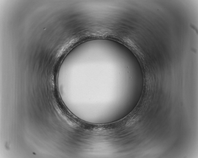 X0000103280634200808291046