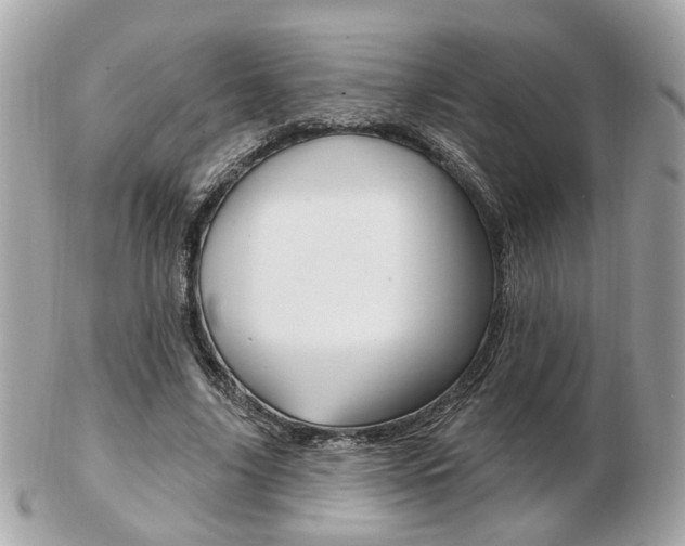 X0000103280635200808291046