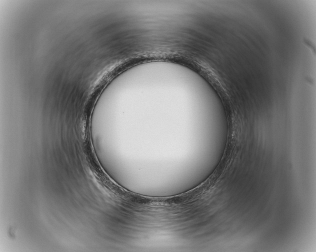 X0000103280636200808291046