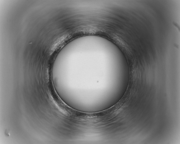 X0000103280638200808291046