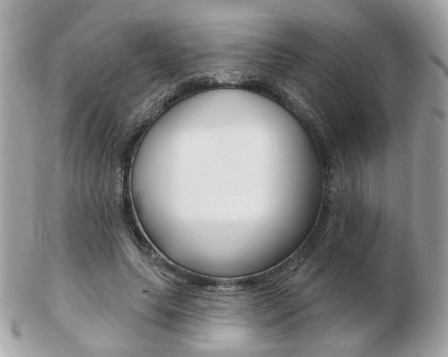 X0000103280639200808291046