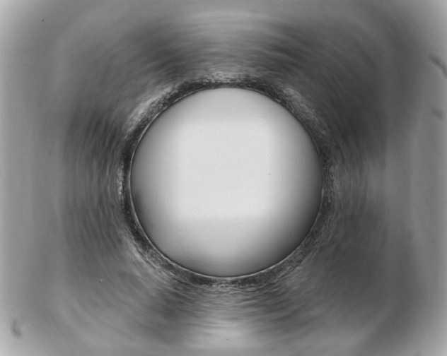 X0000103280640200808291046