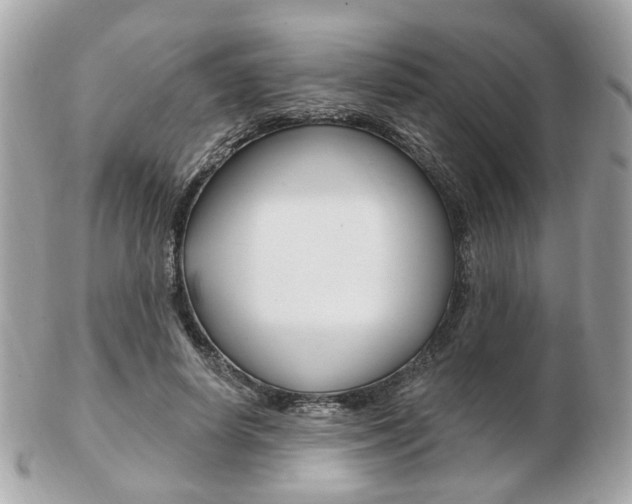 X0000103280642200808291046